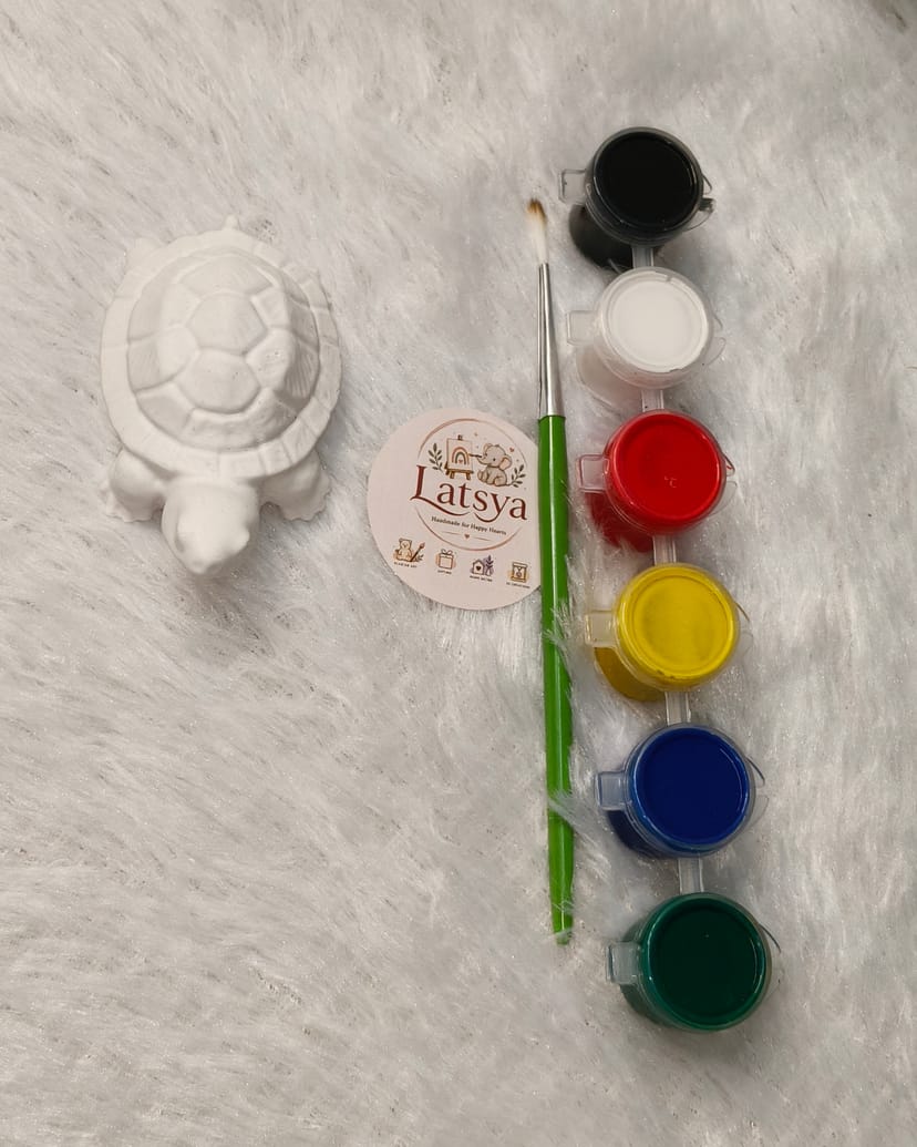 Turtle DIY Painting Kit